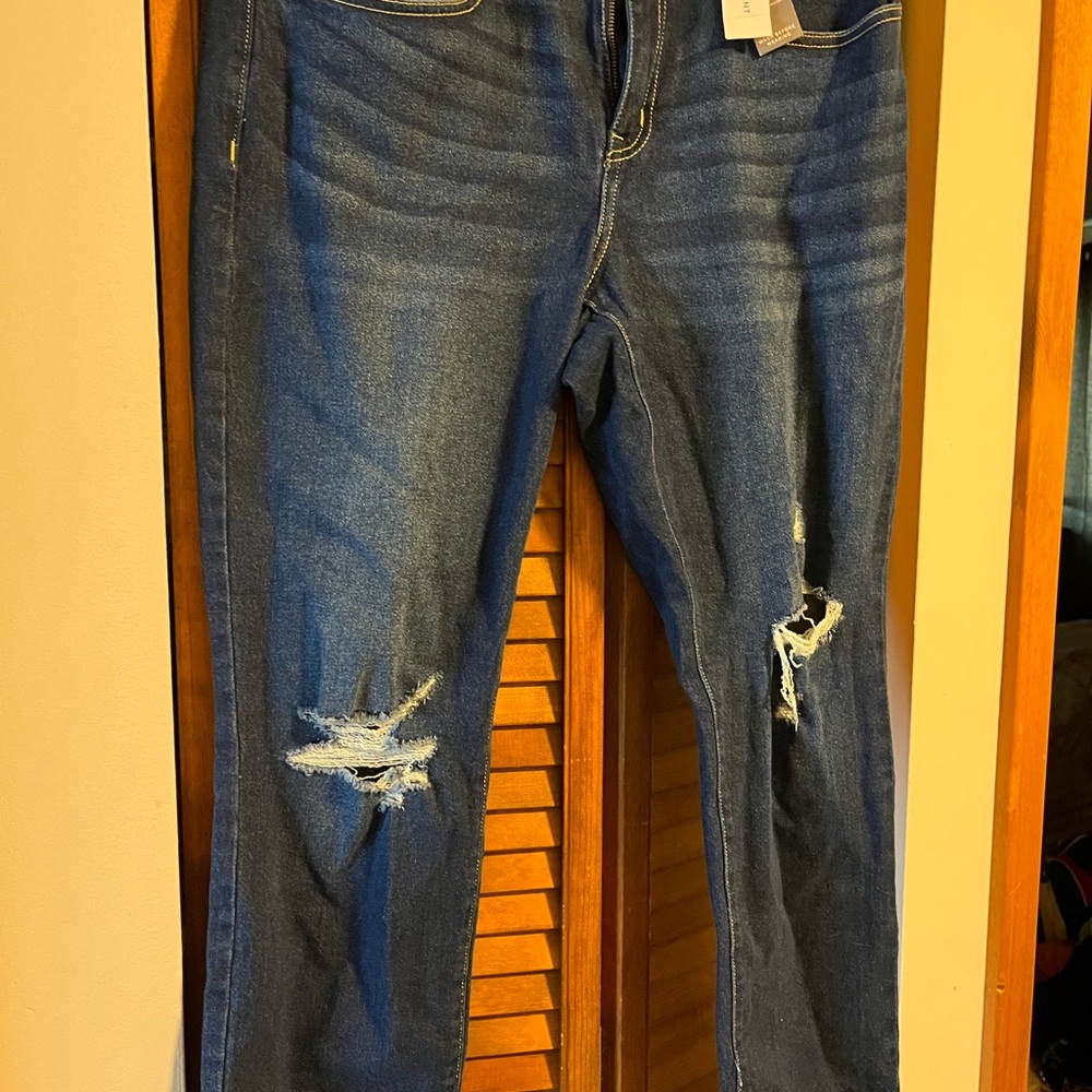 Lane Bryant Blue Straight Leg Jeans with Distressed Details